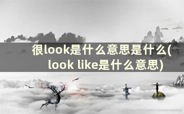 很look是什么意思是什么(look like是什么意思)